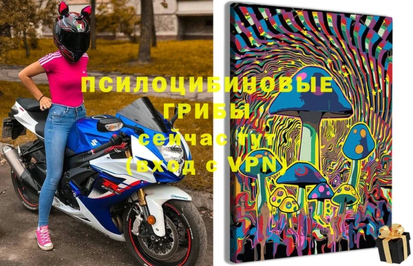 спайс Медногорск